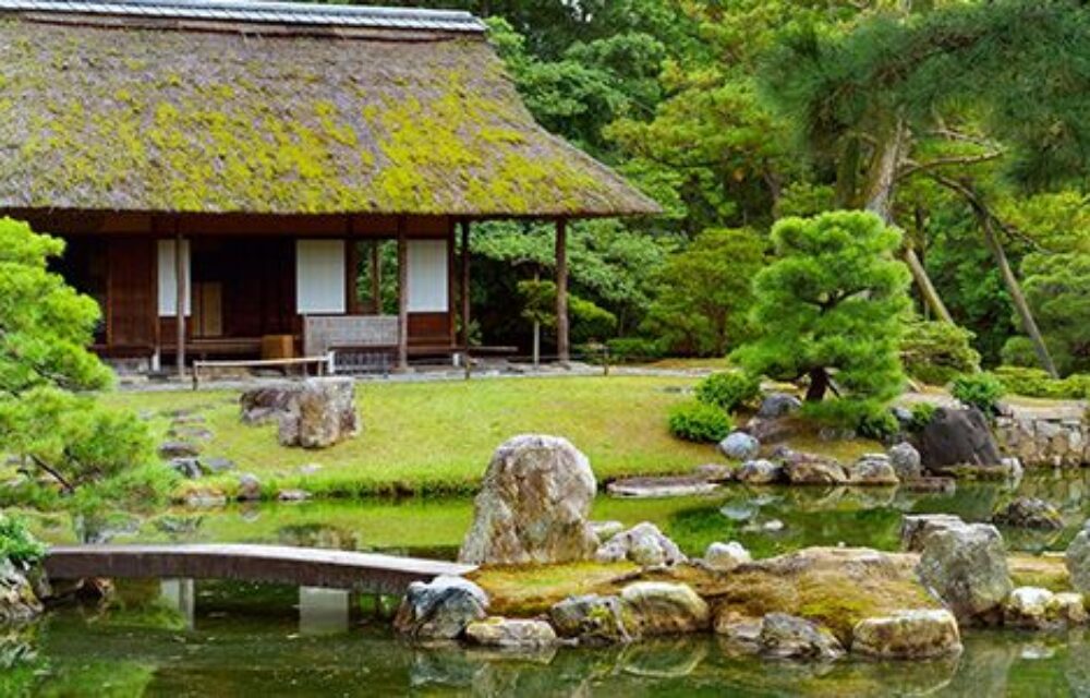 The Beauty of Japanese Gardens 
