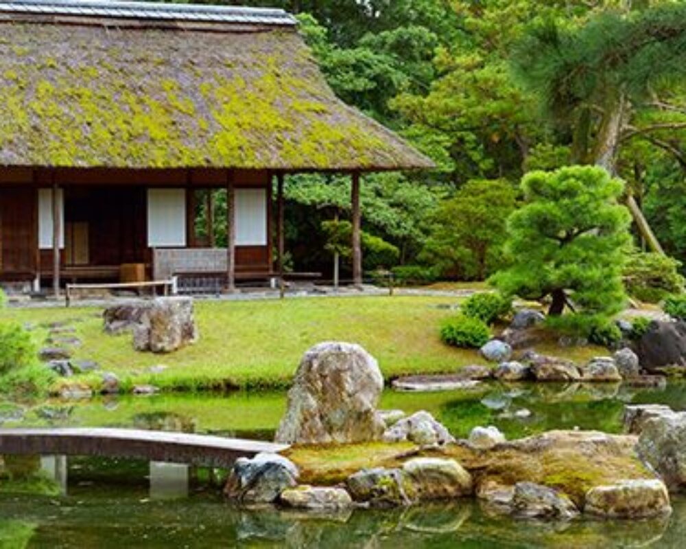 The Beauty of Japanese Gardens 