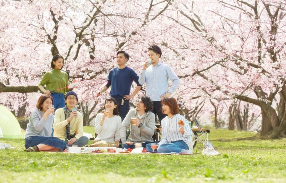 Sakura viewing “Hanami” season is coming! Let’s enjoy Hanami with our Sake!!