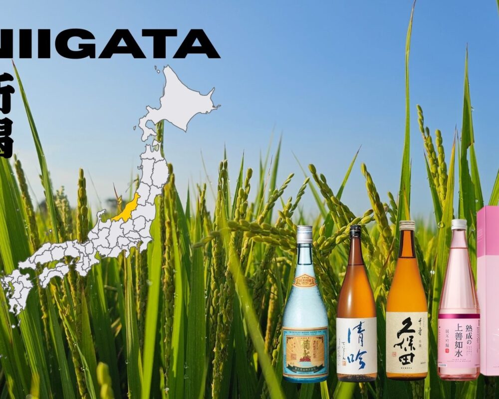 Why Sake Differs By Region: Niigata