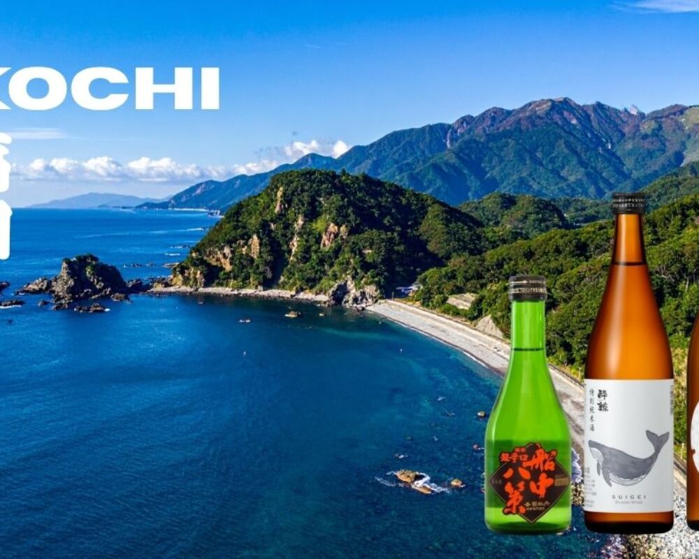 Why Sake Differs By Region: Kochi