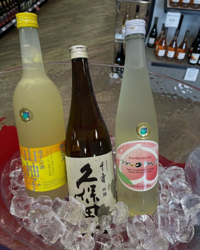 Hi Sake lovers! Are you feeling summer is around the corner 🌞  Our sake is an option of summer drink!! You can make them chill and grab it to the beach 🏖️ We are serving samples now and tomorrow! Come and try them🍶

BCLIQUOR Caulfeild
195 5335 Headland Dr, West Vancouver
May 23&24 (Fri & Sat) 2–6 PM

Serving:
+845719 KUBOTA SENJU GINJO
+32354 KAMIKOKORO PEACH
+39402 TAUKASABOTAN YAMAYUZU

Let’s have fun with us! Cheers🥂
#japansake #madeinjapan #liquorstore #saketastingevent #westvancouver